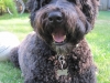 Baxter