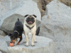 Jack & Frankie