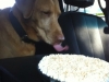 Jake showing great restraint