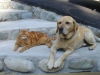 Kody & Ginger