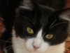 Lucy
