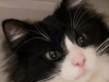 Lucy