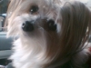 Mollie