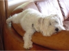 Roxy