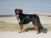 Kepler