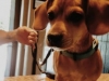 Tucker