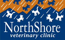 North Shore Vet | We are a full-service veterinary clinic in North Vancouver