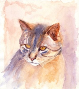 Sue Bird Cat