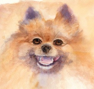 Sue - Pom (1)